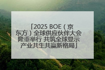 2025 BOE（京东方）全球供应伙伴大会隆重举行 共筑全球显示产业共生共赢新格局