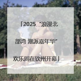 2025“浪漫北部湾 潮派嘉年华”欢乐周在钦州开幕