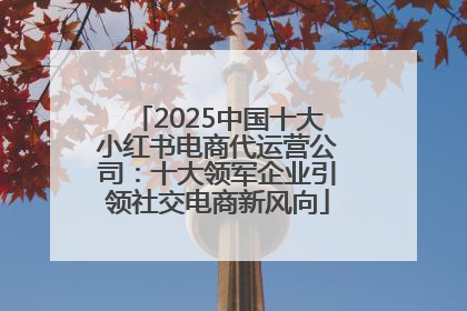 2025中国十大小红书电商代运营公司：十大领军企业引领社交电商新风向