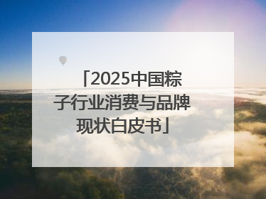 2025中国粽子行业消费与品牌现状白皮书