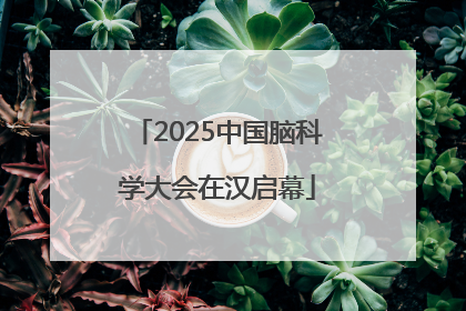 2025中国脑科学大会在汉启幕