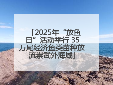 2025年“放鱼日”活动举行 35万尾经济鱼类苗种放流崇武外海域