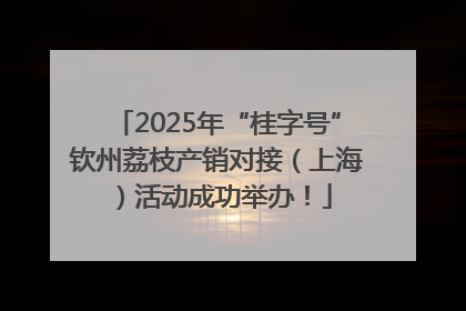 2025年“桂字号”钦州荔枝产销对接（上海）活动成功举办！