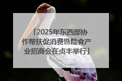 2025年东西部协作帮扶促消费暨糯食产业招商会在贞丰举行