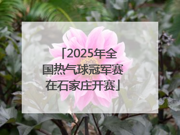 2025年全国热气球冠军赛在石家庄开赛
