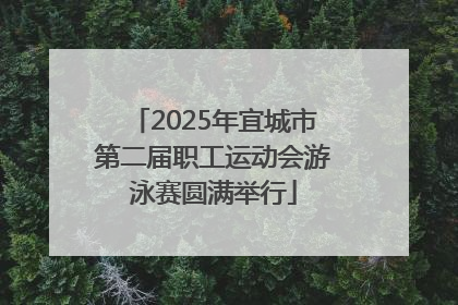 2025年宜城市第二届职工运动会游泳赛圆满举行
