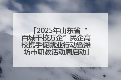 2025年山东省“百城千校万企”民企高校携手促就业行动暨潍坊市职教活动周启动