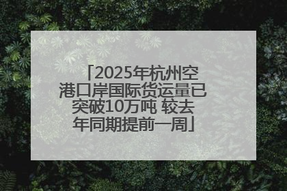 2025年杭州空港口岸国际货运量已突破10万吨 较去年同期提前一周