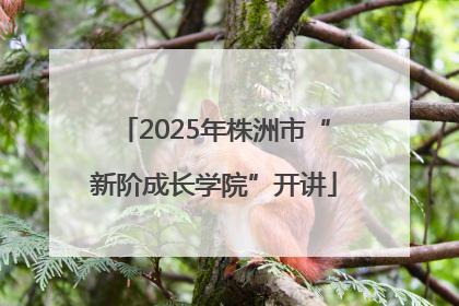 2025年株洲市“新阶成长学院”开讲