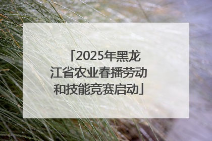 2025年黑龙江省农业春播劳动和技能竞赛启动