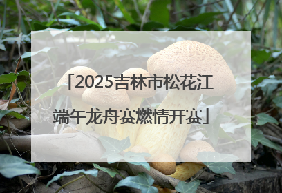 2025吉林市松花江端午龙舟赛燃情开赛