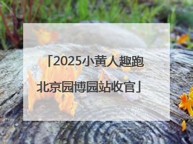2025小黄人趣跑北京园博园站收官