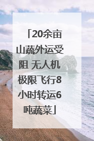 20余亩山蔬外运受阻 无人机极限飞行8小时转运6吨蔬菜
