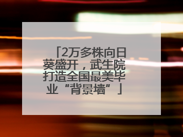 2万多株向日葵盛开，武生院打造全国最美毕业“背景墙”