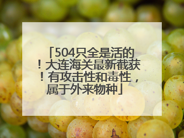 504只全是活的！大连海关最新截获！有攻击性和毒性，属于外来物种
