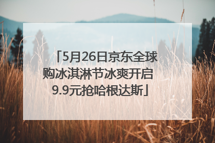 5月26日京东全球购冰淇淋节冰爽开启 9.9元抢哈根达斯