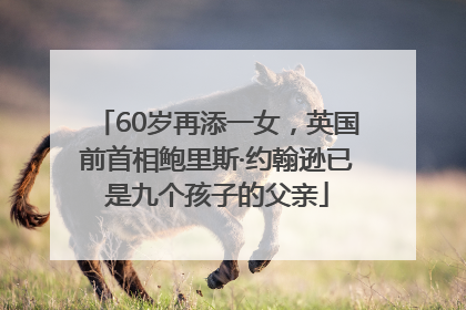 60岁再添一女，英国前首相鲍里斯·约翰逊已是九个孩子的父亲