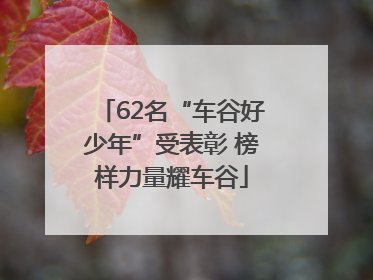 62名“车谷好少年”受表彰 榜样力量耀车谷