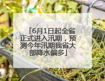 6月1日起全省正式进入汛期，预测今年汛期我省大部降水偏多
