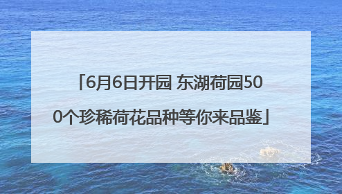 6月6日开园 东湖荷园500个珍稀荷花品种等你来品鉴