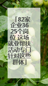 82家企业3625个岗位 这场就业帮扶活动专门针对这些群体