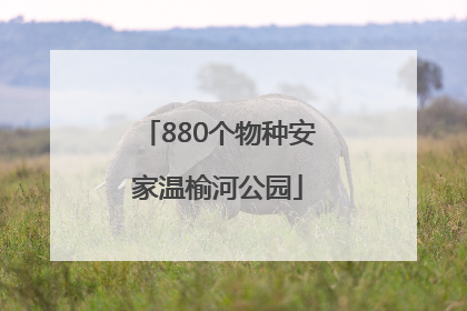 880个物种安家温榆河公园