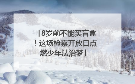 8岁前不能买盲盒！这场检察开放日点燃少年法治梦