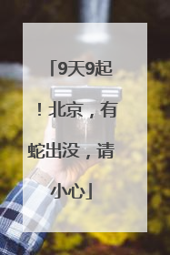 9天9起！北京，有蛇出没，请小心