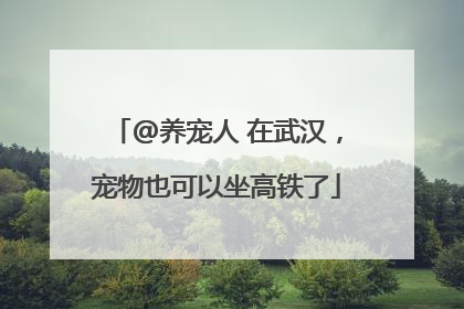 @养宠人 在武汉，宠物也可以坐高铁了