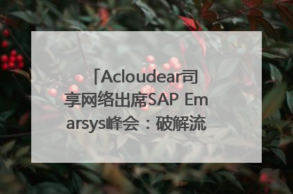 Acloudear司享网络出席SAP Emarsys峰会：破解流量困局，驱动精准增长