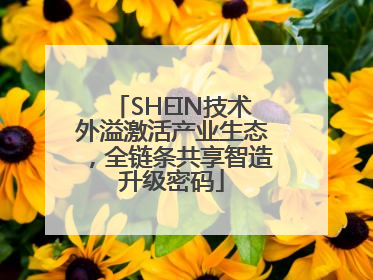 SHEIN技术外溢激活产业生态，全链条共享智造升级密码
