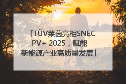TÜV莱茵亮相SNEC PV+ 2025，赋能新能源产业高质量发展